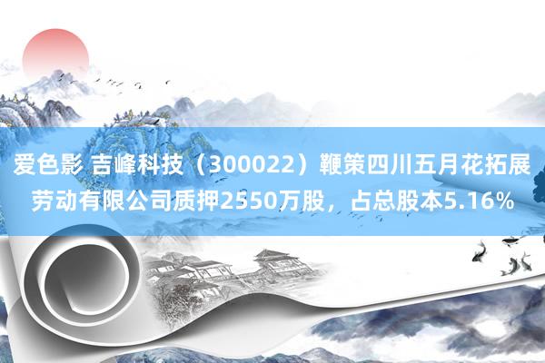 爱色影 吉峰科技（300022）鞭策四川五月花拓展劳动有限公司质押2550万股，占总股本5.16%
