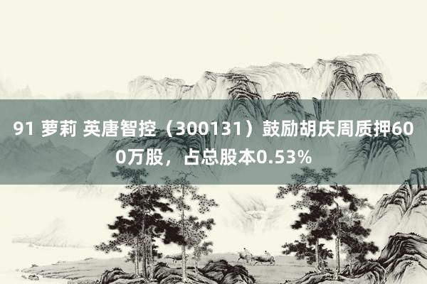 91 萝莉 英唐智控（300131）鼓励胡庆周质押600万股，占总股本0.53%