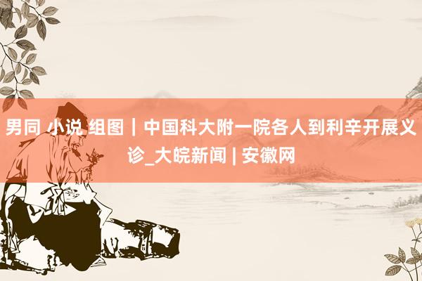 男同 小说 组图｜中国科大附一院各人到利辛开展义诊_大皖新闻 | 安徽网
