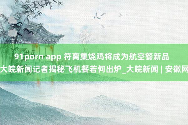91porn app 符离集烧鸡将成为航空餐新品  大皖新闻记者揭秘飞机餐若何出炉_大皖新闻 | 安徽网