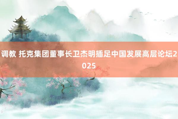 调教 托克集团董事长卫杰明插足中国发展高层论坛2025