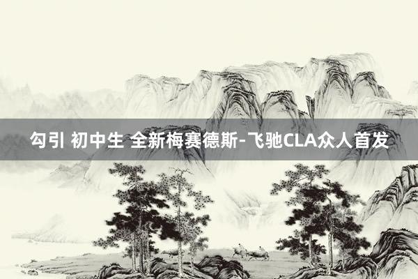 勾引 初中生 全新梅赛德斯-飞驰CLA众人首发