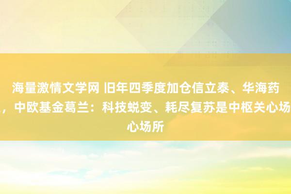 海量激情文学网 旧年四季度加仓信立泰、华海药业，中欧基金葛兰：科技蜕变、耗尽复苏是中枢关心场所