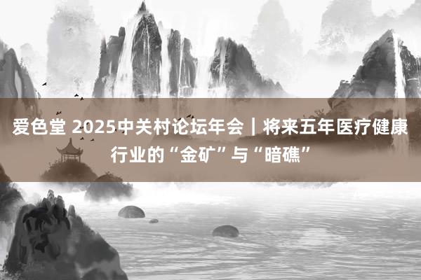 爱色堂 2025中关村论坛年会｜将来五年医疗健康行业的“金矿”与“暗礁”