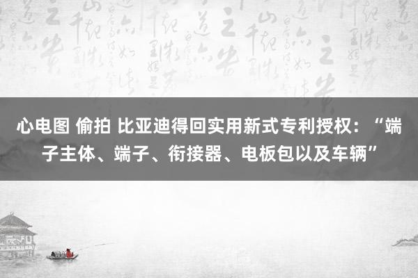 心电图 偷拍 比亚迪得回实用新式专利授权：“端子主体、端子、衔接器、电板包以及车辆”