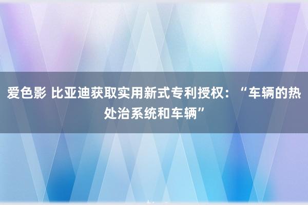 爱色影 比亚迪获取实用新式专利授权：“车辆的热处治系统和车辆”