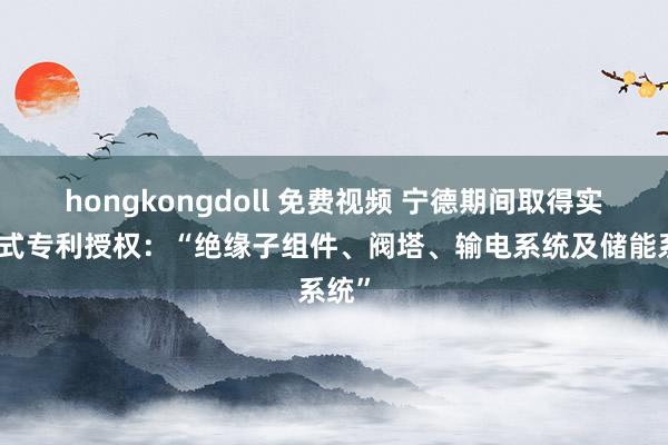 hongkongdoll 免费视频 宁德期间取得实用新式专利授权：“绝缘子组件、阀塔、输电系统及储能系统”