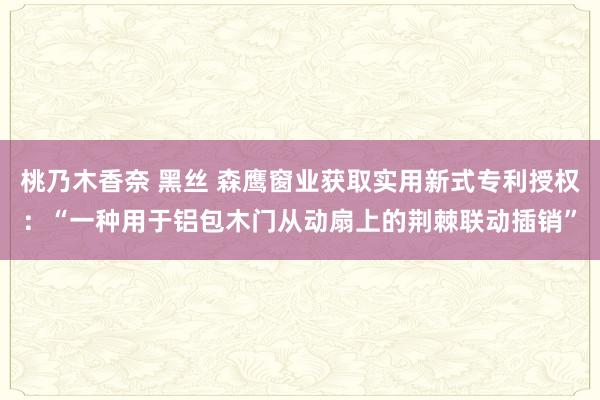 桃乃木香奈 黑丝 森鹰窗业获取实用新式专利授权：“一种用于铝包木门从动扇上的荆棘联动插销”