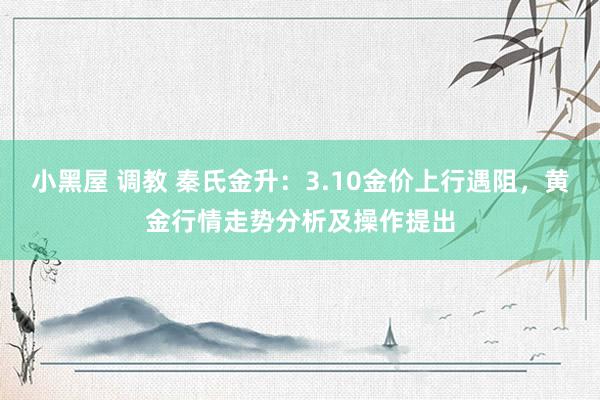 小黑屋 调教 秦氏金升：3.10金价上行遇阻，黄金行情走势分析及操作提出