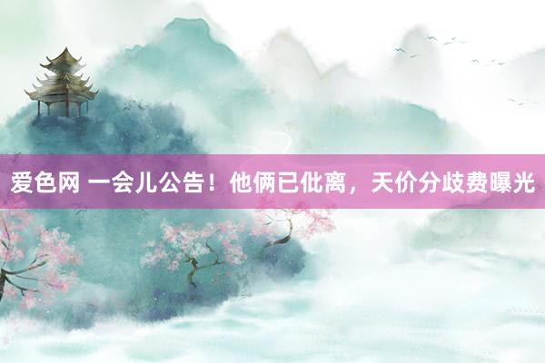 爱色网 一会儿公告!他俩已仳离,天价分歧费曝光