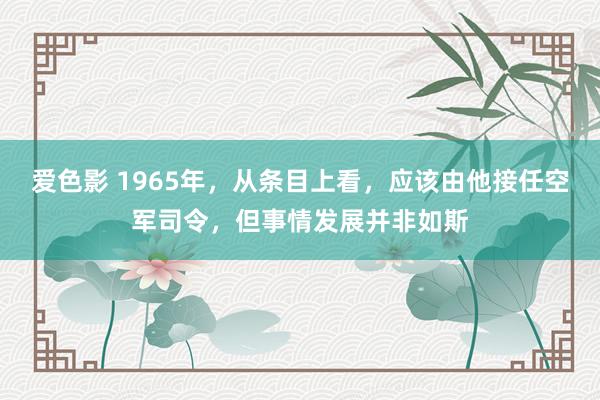 爱色影 1965年，从条目上看，应该由他接任空军司令，但事情发展并非如斯