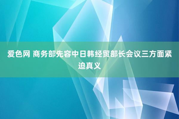 爱色网 商务部先容中日韩经贸部长会议三方面紧迫真义