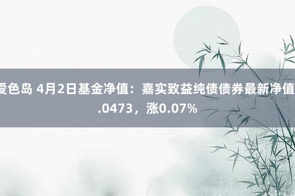 爱色岛 4月2日基金净值：嘉实致益纯债债券最新净值1.0473，涨0.07%