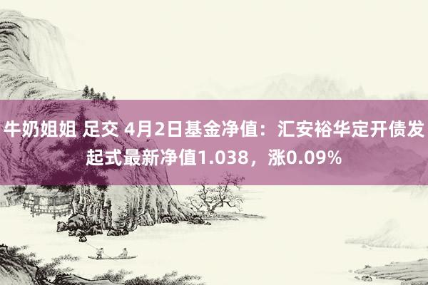 牛奶姐姐 足交 4月2日基金净值：汇安裕华定开债发起式最新净值1.038，涨0.09%