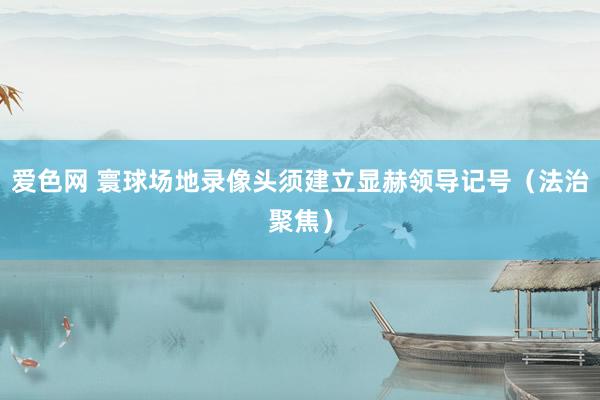 爱色网 寰球场地录像头须建立显赫领导记号（法治聚焦）