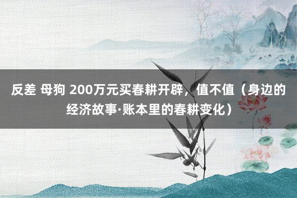 反差 母狗 200万元买春耕开辟，值不值（身边的经济故事·账本里的春耕变化）