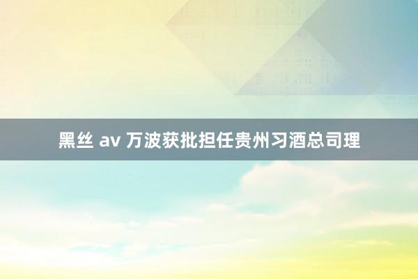 黑丝 av 万波获批担任贵州习酒总司理