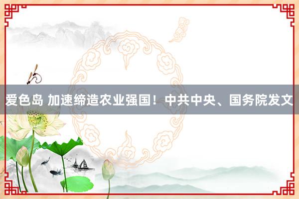 爱色岛 加速缔造农业强国！中共中央、国务院发文