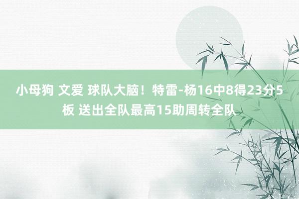 小母狗 文爱 球队大脑！特雷-杨16中8得23分5板 送出全队最高15助周转全队