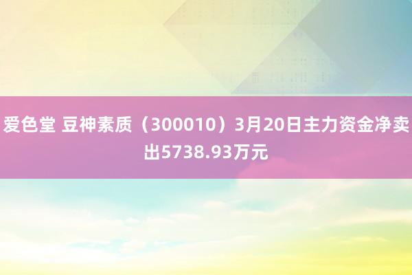 爱色堂 豆神素质（300010）3月20日主力资金净卖出5738.93万元