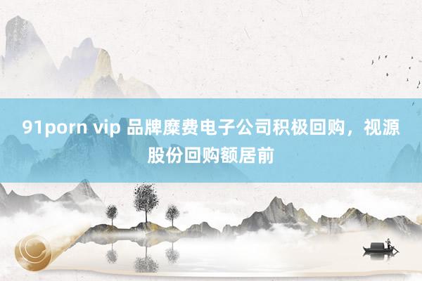 91porn vip 品牌糜费电子公司积极回购，视源股份回购额居前