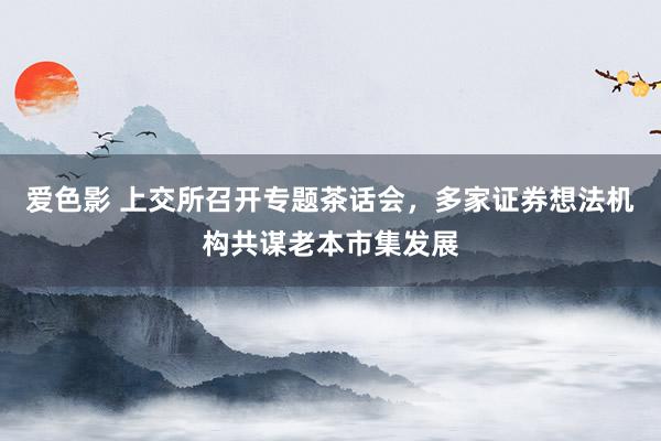 爱色影 上交所召开专题茶话会，多家证券想法机构共谋老本市集发展