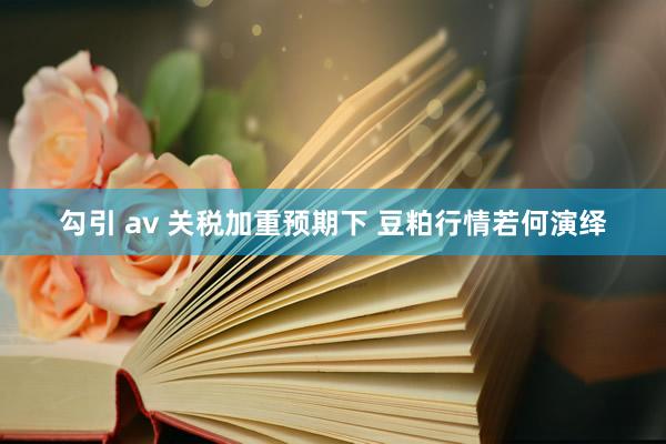 勾引 av 关税加重预期下 豆粕行情若何演绎