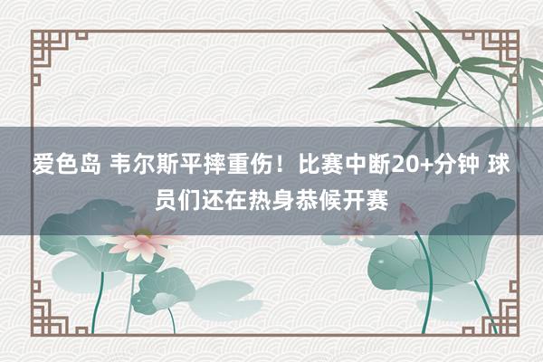 爱色岛 韦尔斯平摔重伤！比赛中断20+分钟 球员们还在热身恭候开赛