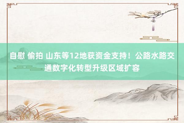 自慰 偷拍 山东等12地获资金支持！公路水路交通数字化转型升级区域扩容