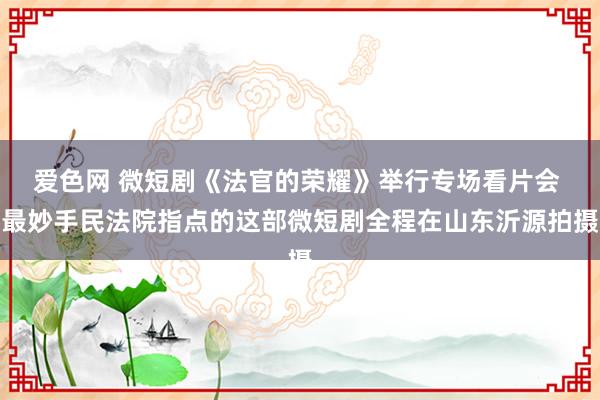 爱色网 微短剧《法官的荣耀》举行专场看片会 最妙手民法院指点的这部微短剧全程在山东沂源拍摄