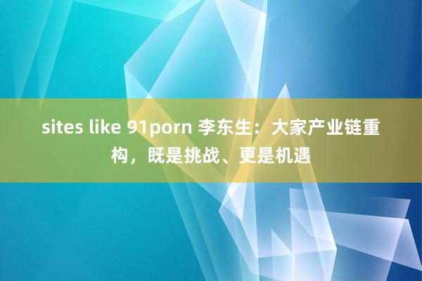 sites like 91porn 李东生：大家产业链重构，既是挑战、更是机遇