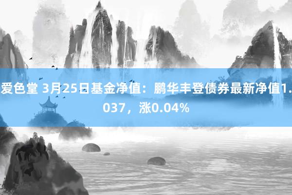 爱色堂 3月25日基金净值：鹏华丰登债券最新净值1.037，涨0.04%
