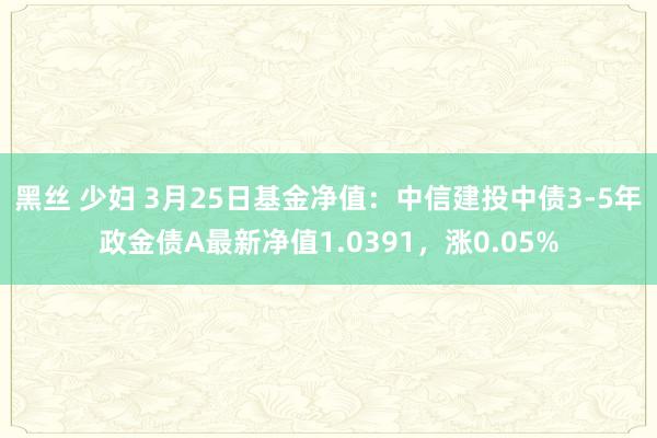 黑丝 少妇 3月25日基金净值：中信建投中债3-5年政金债A最新净值1.0391，涨0.05%