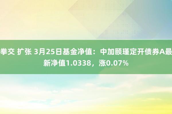 拳交 扩张 3月25日基金净值：中加颐瑾定开债券A最新净值1.0338，涨0.07%