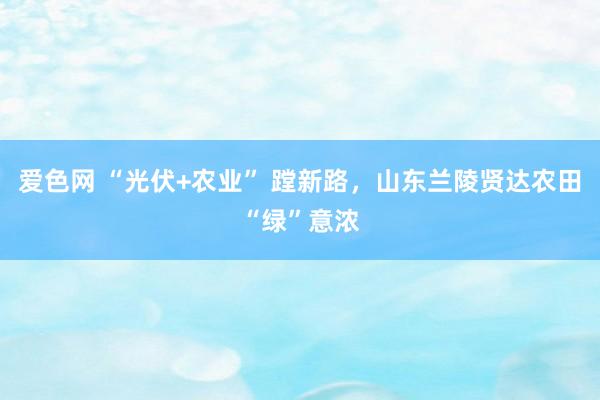 爱色网 “光伏+农业” 蹚新路，山东兰陵贤达农田“绿”意浓