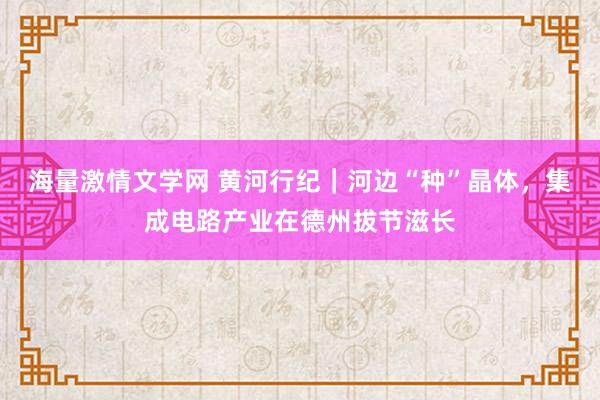 海量激情文学网 黄河行纪｜河边“种”晶体，集成电路产业在德州拔节滋长