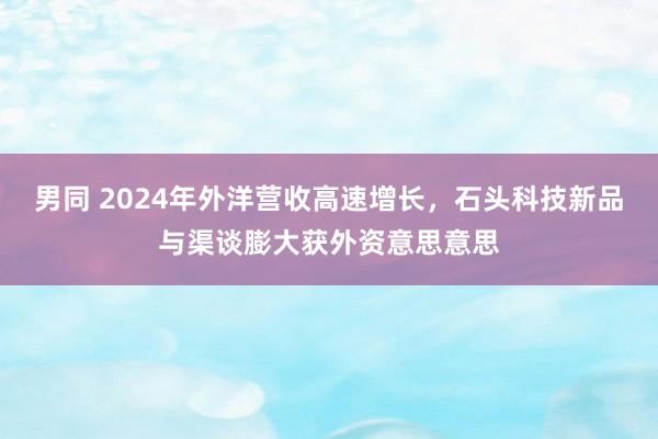 男同 2024年外洋营收高速增长，石头科技新品与渠谈膨大获外资意思意思
