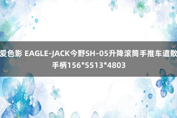 爱色影 EAGLE-JACK今野SH-05升降滚筒手推车遣散手柄156*5513*4803