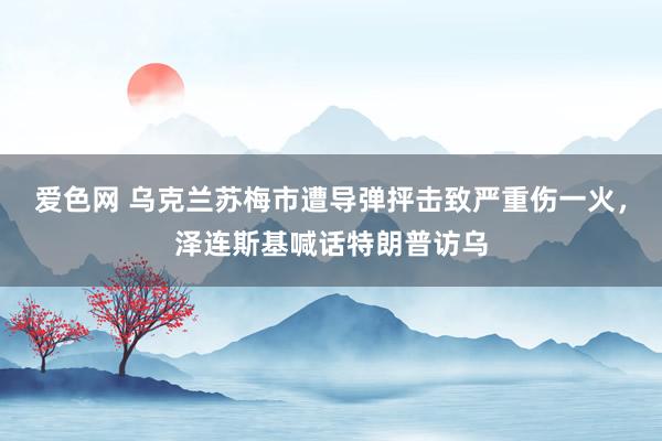 爱色网 乌克兰苏梅市遭导弹抨击致严重伤一火，泽连斯基喊话特朗普访乌