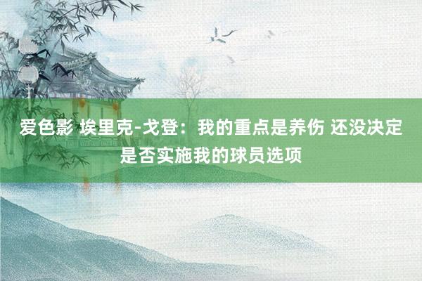 爱色影 埃里克-戈登：我的重点是养伤 还没决定是否实施我的球员选项