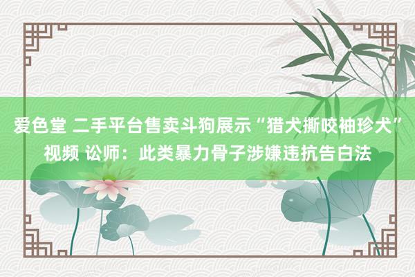 爱色堂 二手平台售卖斗狗展示“猎犬撕咬袖珍犬”视频 讼师：此类暴力骨子涉嫌违抗告白法