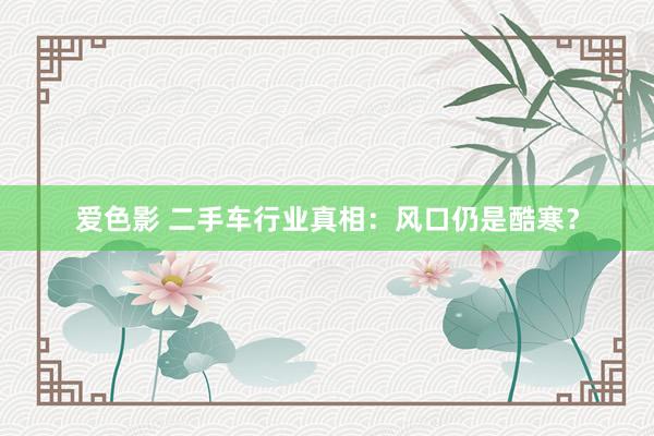爱色影 二手车行业真相：风口仍是酷寒？