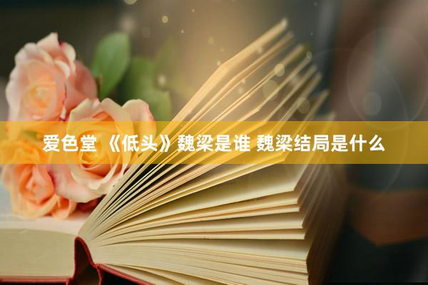 爱色堂 《低头》魏梁是谁 魏梁结局是什么