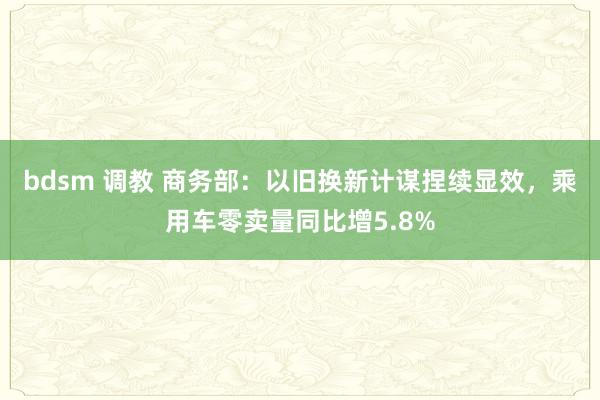 bdsm 调教 商务部：以旧换新计谋捏续显效，乘用车零卖量同比增5.8%