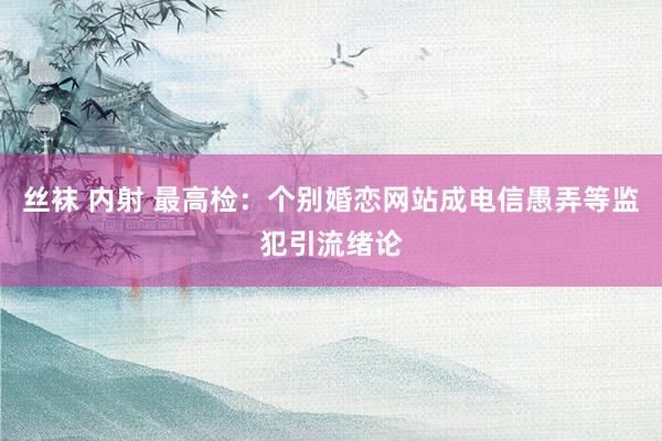 丝袜 内射 最高检：个别婚恋网站成电信愚弄等监犯引流绪论