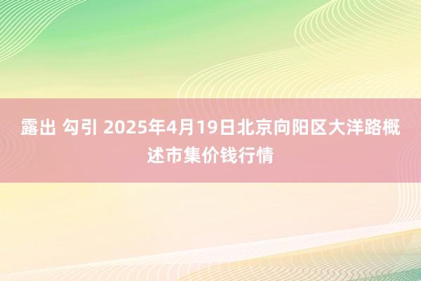 露出 勾引 2025年4月19日北京向阳区大洋路概述市集价钱行情