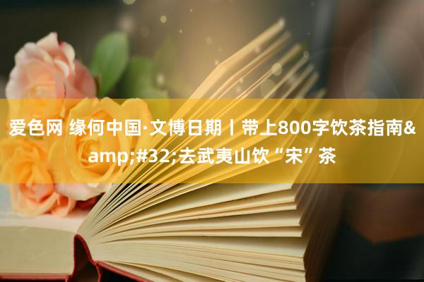 爱色网 缘何中国·文博日期丨带上800字饮茶指南&#32;去武夷山饮“宋”茶