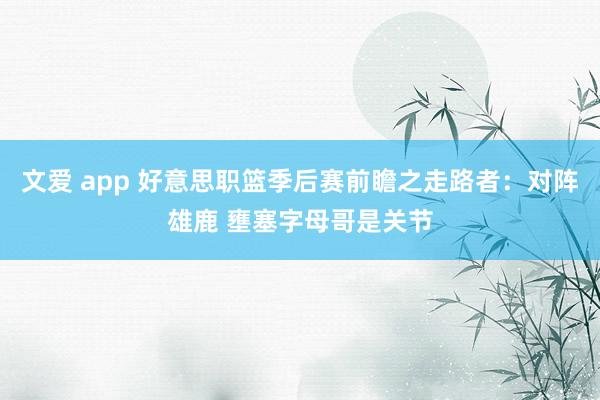 文爱 app 好意思职篮季后赛前瞻之走路者：对阵雄鹿 壅塞字母哥是关节