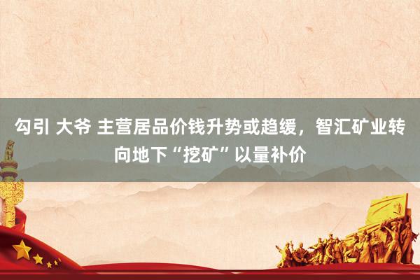 勾引 大爷 主营居品价钱升势或趋缓，智汇矿业转向地下“挖矿”以量补价