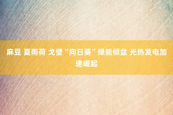 麻豆 夏雨荷 戈壁“向日葵”绿能倾盆 光热发电加速崛起